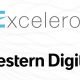 Western Digital investment in Excelero