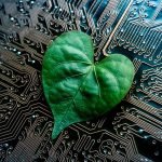 Cloud provider’s business must be as stable