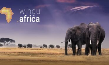 wingu.africa launches new hyperscale data center in Ethiopia