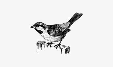 ESET discovers FamousSparrow APT group