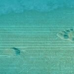 Alibaba Cloud unveils RISC-V chip-development platform