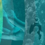 A whole-of-society approach to sustainability can scale spur your business to great heights