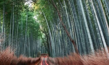 Lenovo Commits to Net-Zero Emissions by 2050