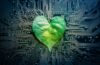 Need For Data Center Ecosystem To Shift From Fragmented Efforts To Unified Sustainability Approach