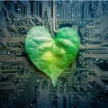 Need For Data Center Ecosystem To Shift From Fragmented Efforts To Unified Sustainability Approach