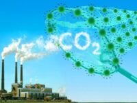 Scala first in industry to neutralise 100% of Scope 3
