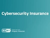 How Does Cyber Insurance Help Businesses?