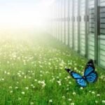 Dubai Envisions To Become The AI-Powered Data Center Economy