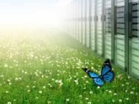 70% of KSA Organizations View Technology As Key To Achieving Their Sustainability Goals