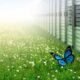 70% of KSA Organizations View Technology As Key To Achieving Their Sustainability Goals