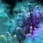 Snowflake And Anthropic Join Forces